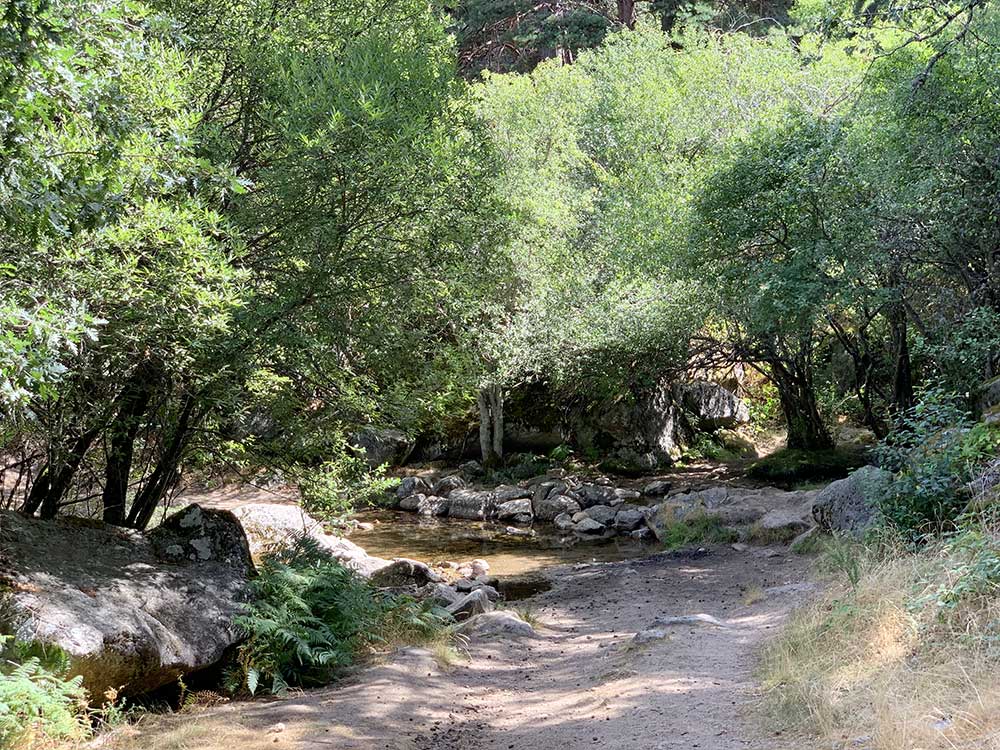 Arroyo Grande