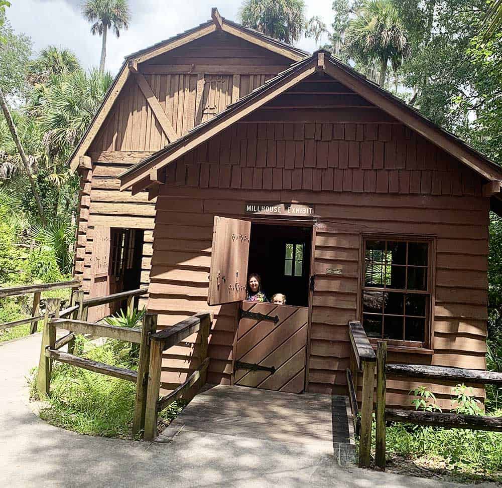 Juniper Springs Recreation Area in Ocala, Florida