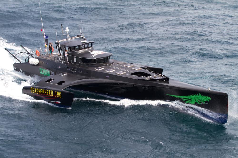 Gojira at sea enroute to Hobart from Freemantle, 2010 sea shepherd boat