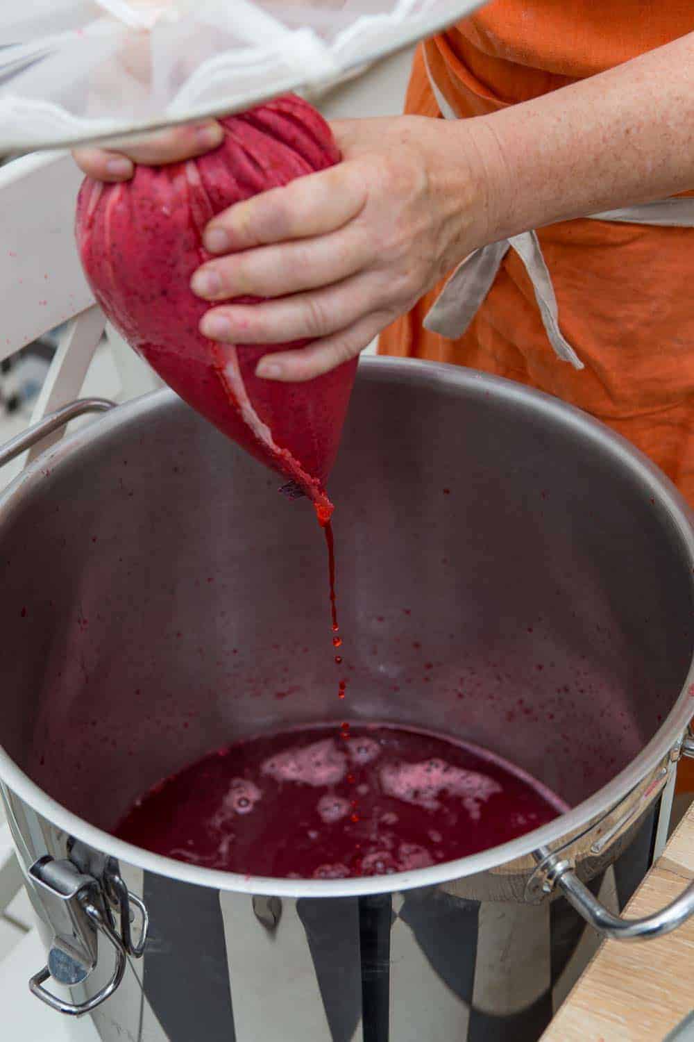Johannisbeerwein selbst machen Saft abpressen
