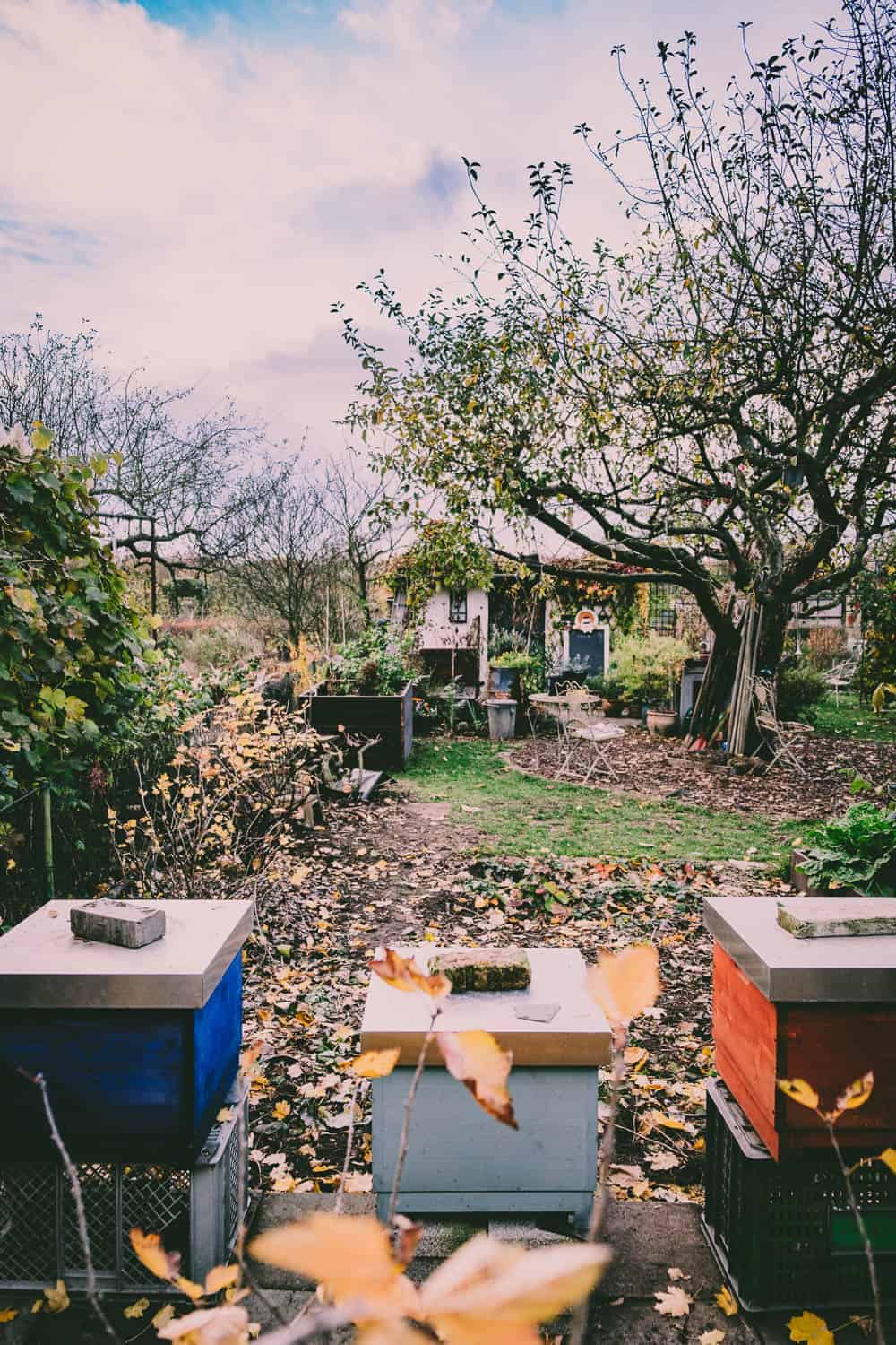 Bienen Im Kleingarten Probleme Mit Dem Nachbarn
