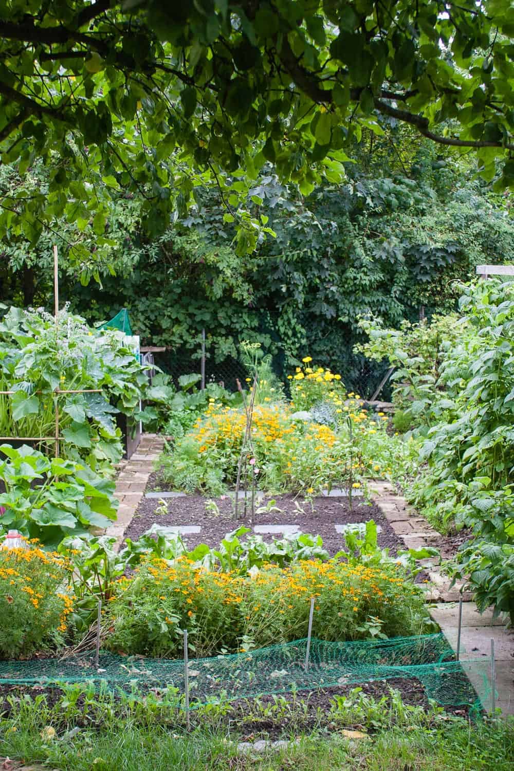 Wie Bekommt Mein Garten Struktur Gartenraume Schaffen