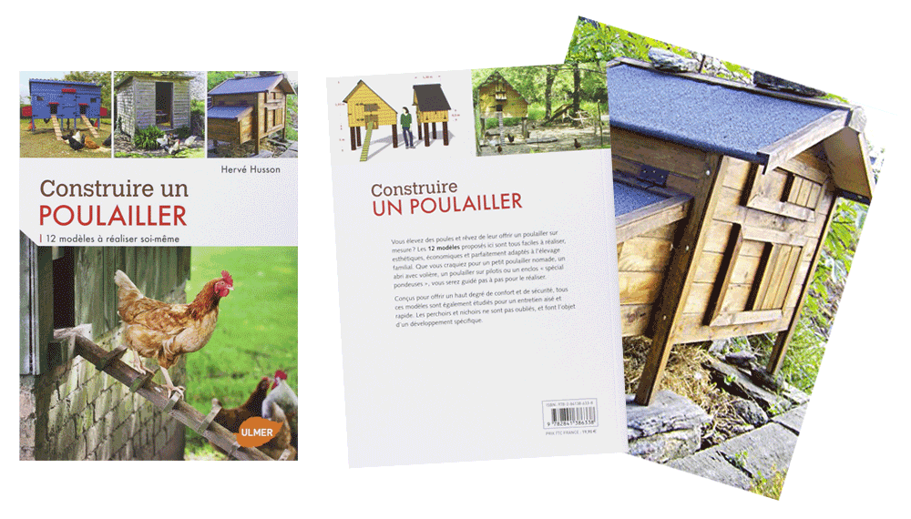 Monpoulaillerfr Conseils Et Avis Pour Prendre Soin De Vos Poules