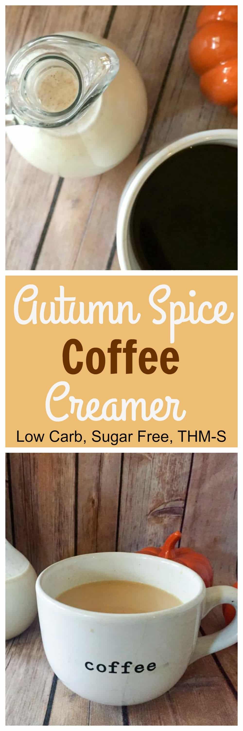Autumn Spice Coffee Creamer {THM-S, Low Carb, Sugar Free ...