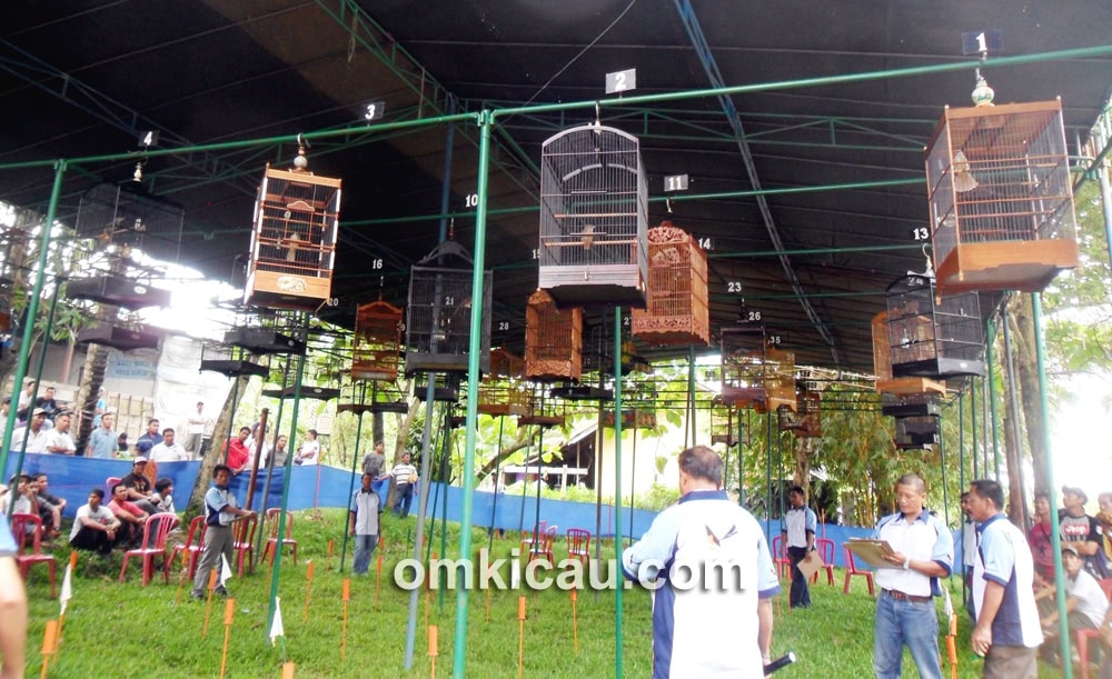 Kelas Kapas Tembak