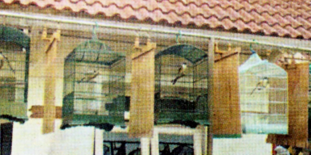 cendet dijemur