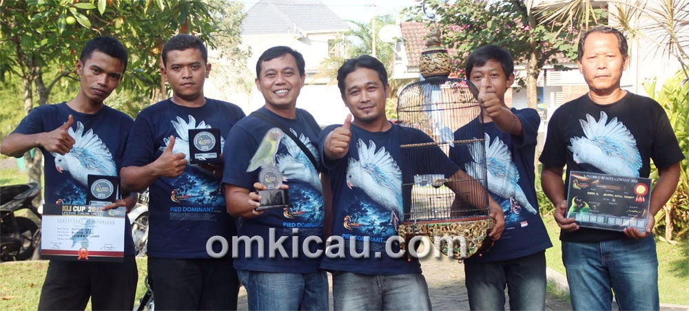 Kru Lovebird Elang Biru