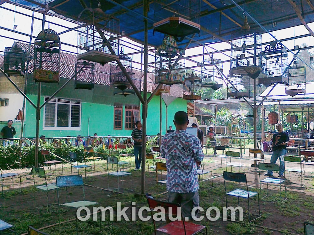 Lomba Burung SapuRegel Cilacap