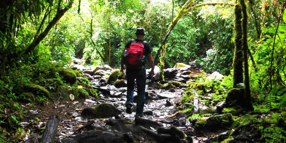 Backpacking Colombia - Uncover the Wild Land of Salsa and Latin Culture