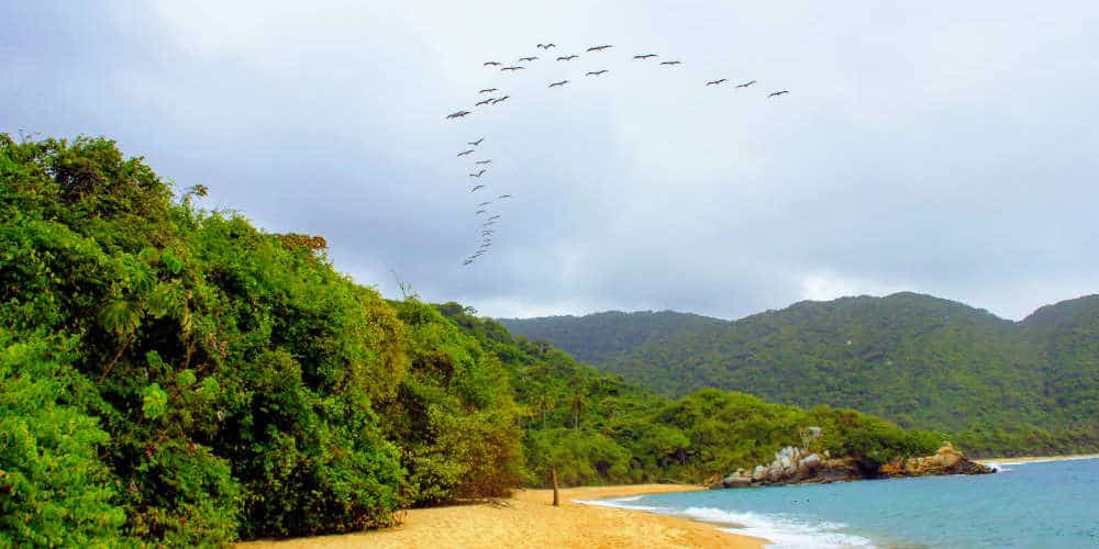 Tayrona National Park