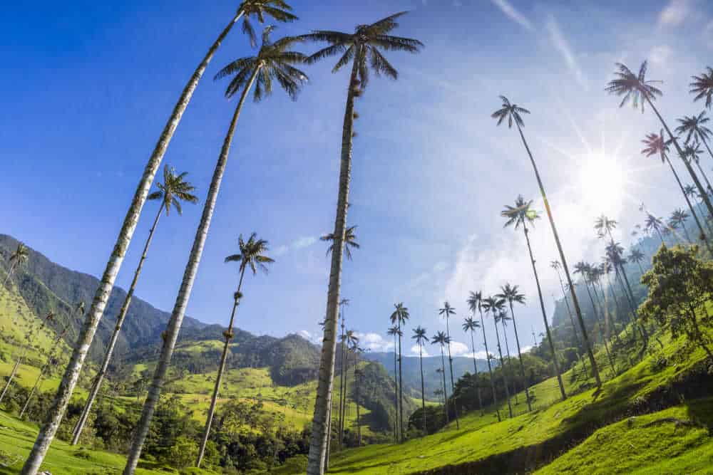 6 Cool things to do in Salento Colombia