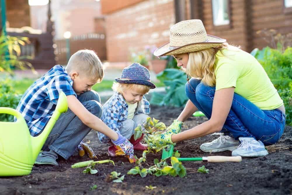 5 Tips On Creating A Child Friendly Garden