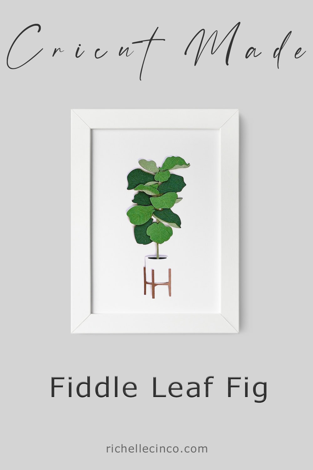 Fiddle Leaf Fig In A Frame
