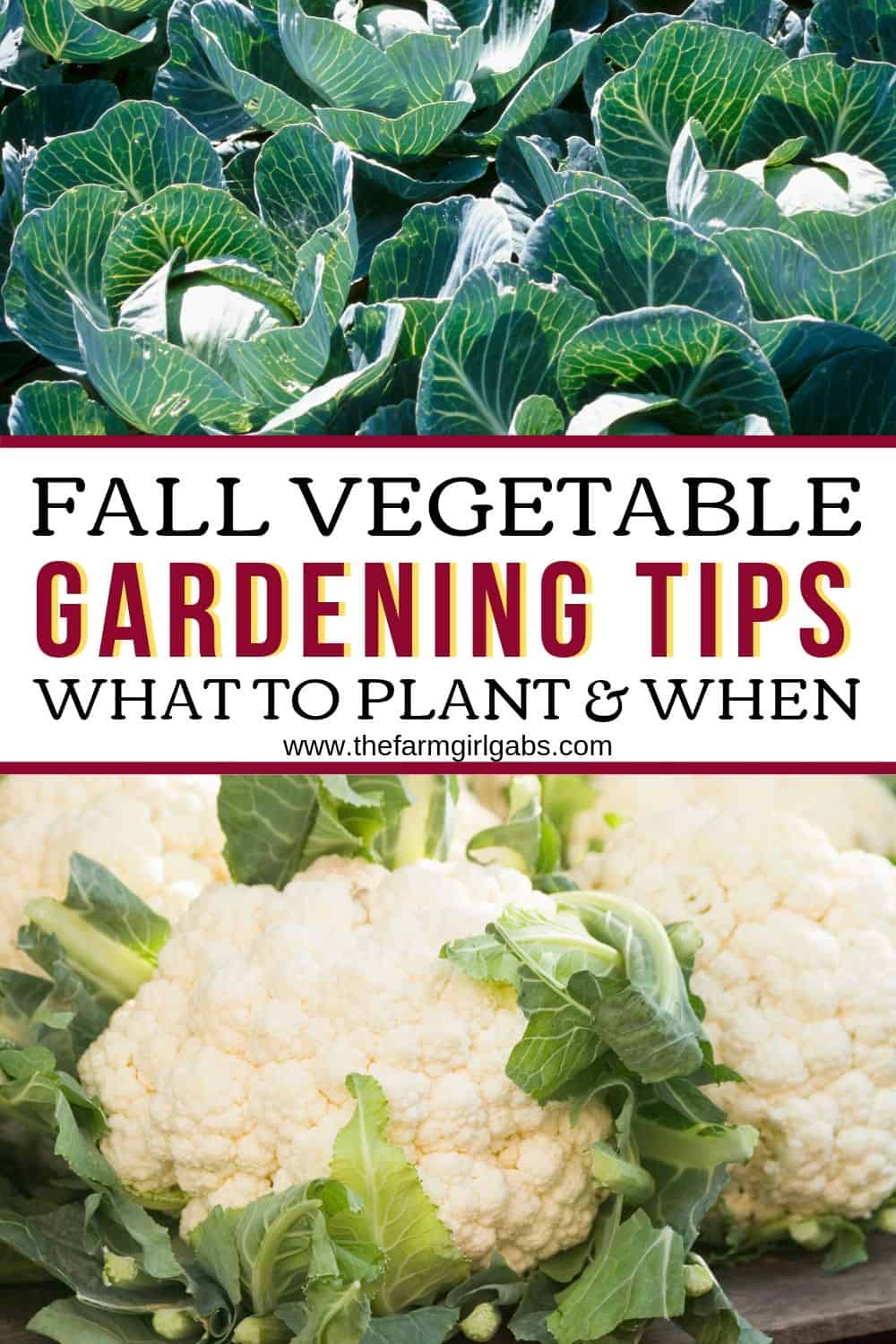Fall Vegetable Gardening Tips Www Thefarmgirlgabs Com