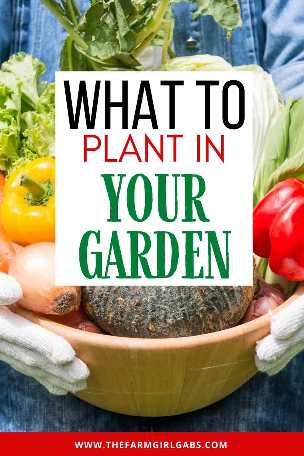 Ready to dig in and start planting your garden? I have some helpful gardening tips. Here is a list of Easy Vegetables To Grow In Your Garden.