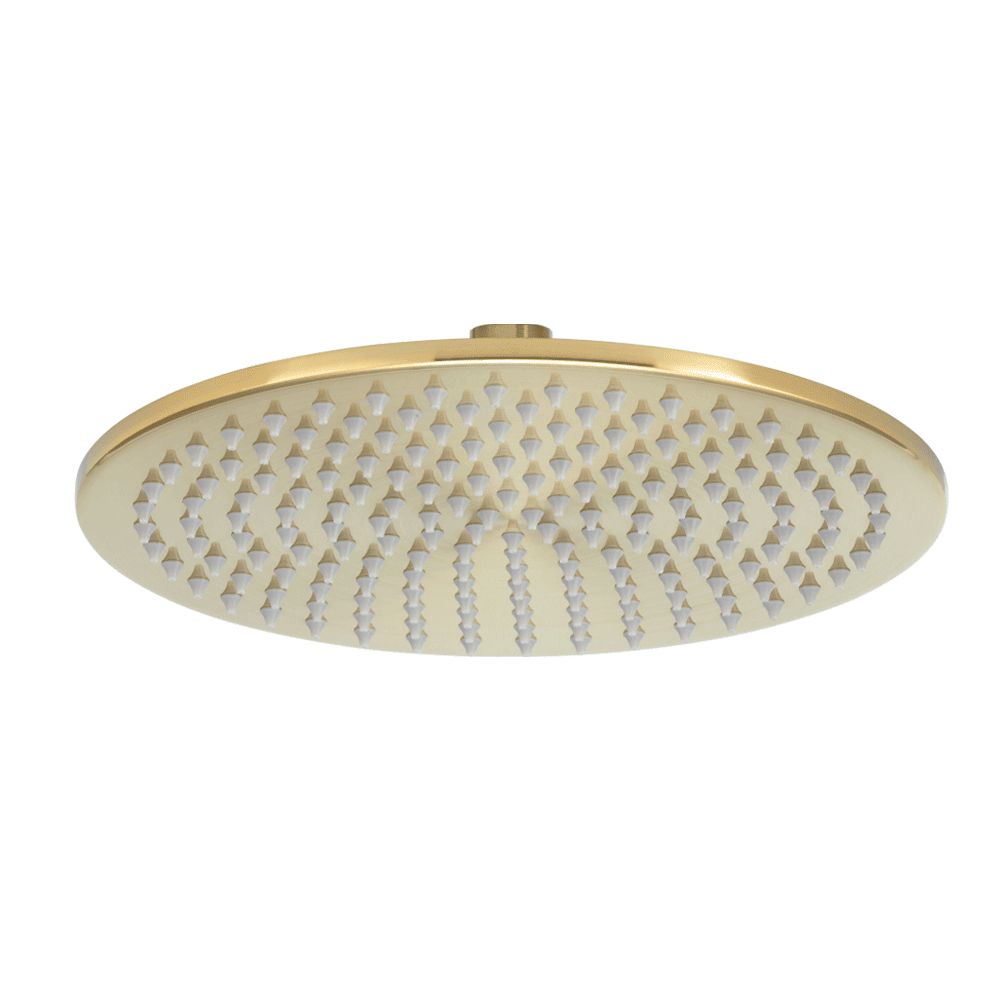 Dana Brushed Brass Shower Head Buy Online Or In Store