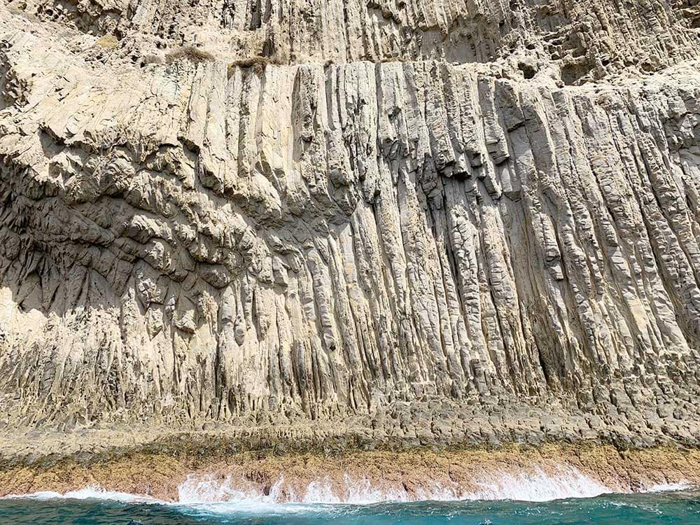 Detalle de Los Órganos