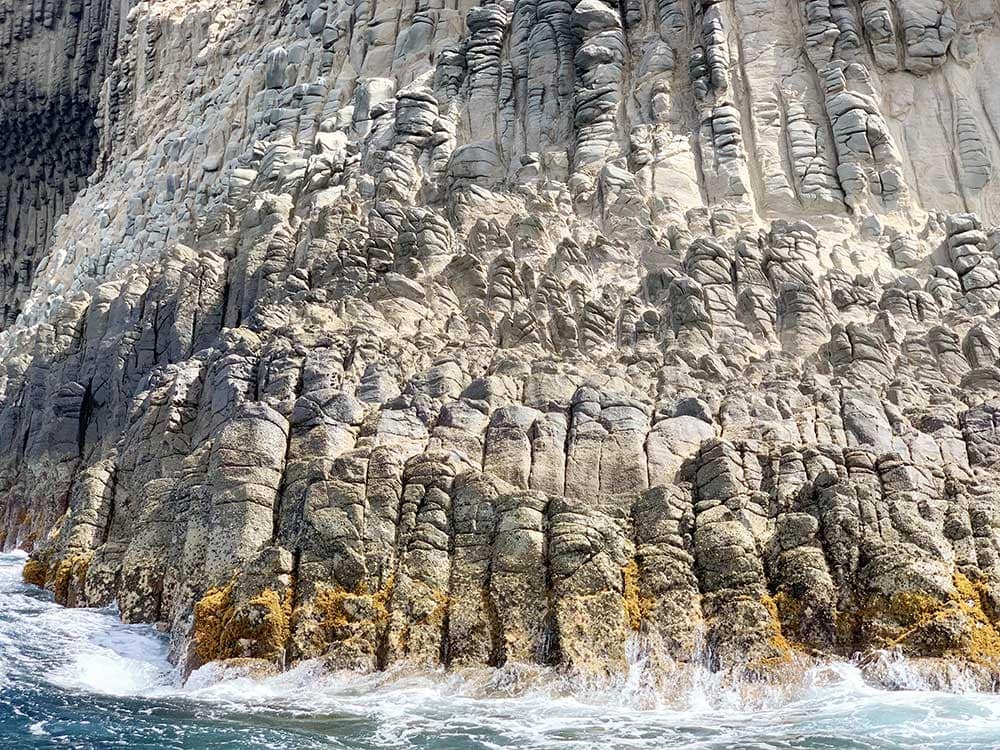 Detalle de Los Órganos