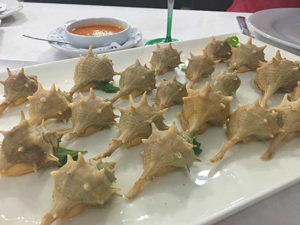 Caracoles de mar