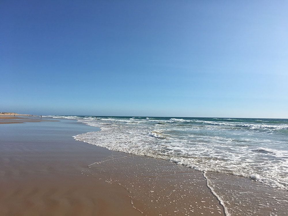 Qué ver y hacer en Conil de la Frontera - Cádiz - Playa de El Palmar