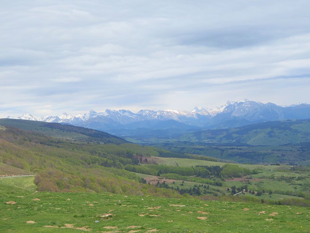 Selva de Irati - Pirineos