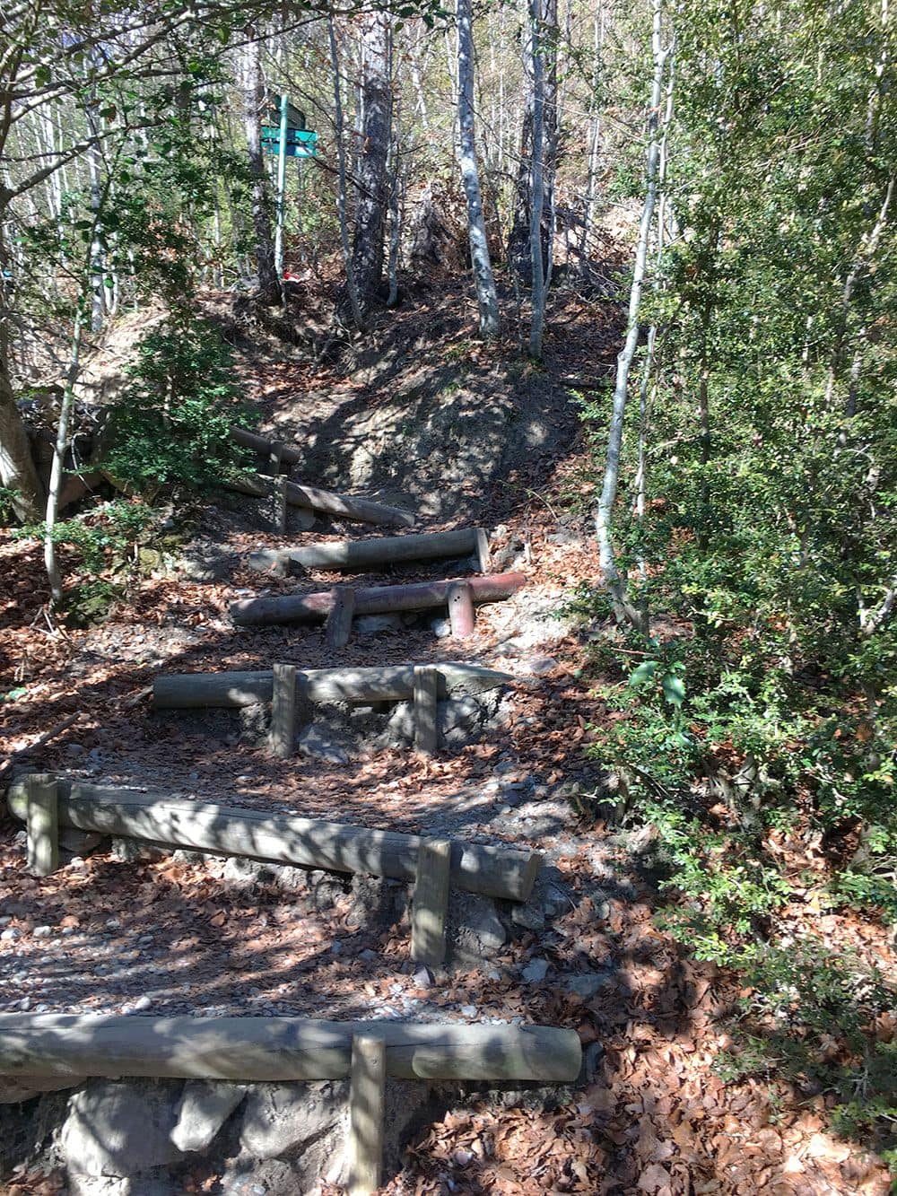 Subida a Los Llanos de La Larri - Senderismo La Pineta - Escalones