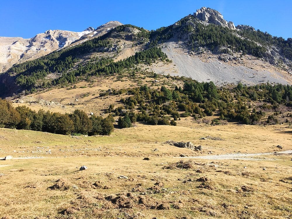 Subida a Los Llanos de La Larri - Senderismo La Pineta - Paisajes