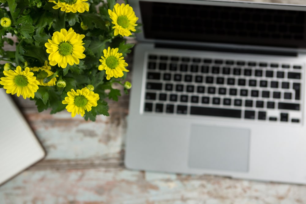 How to Make Money Using Social Media