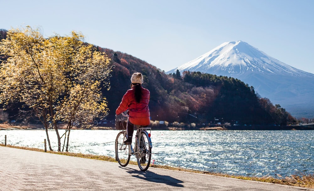 fuji trek bike
