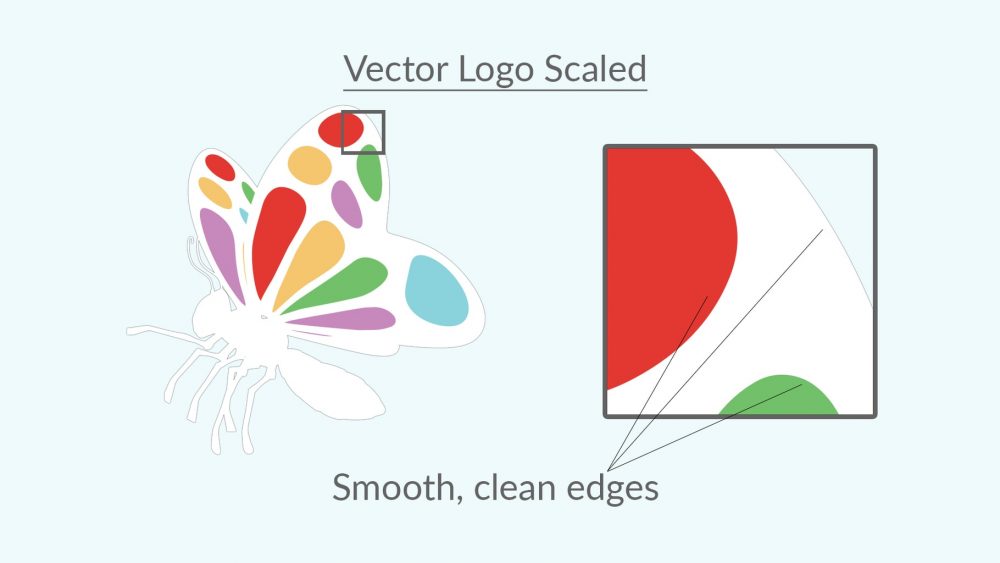 What is the difference between Vector and Bitmap images? 3