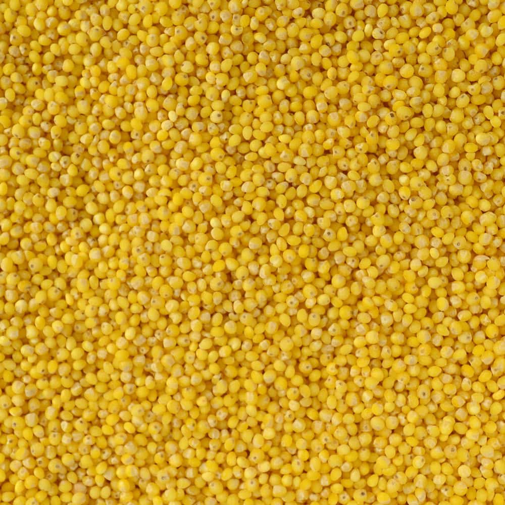Hulled Millet