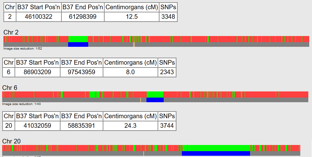 how to understand gedmatch genesis are your parents related results