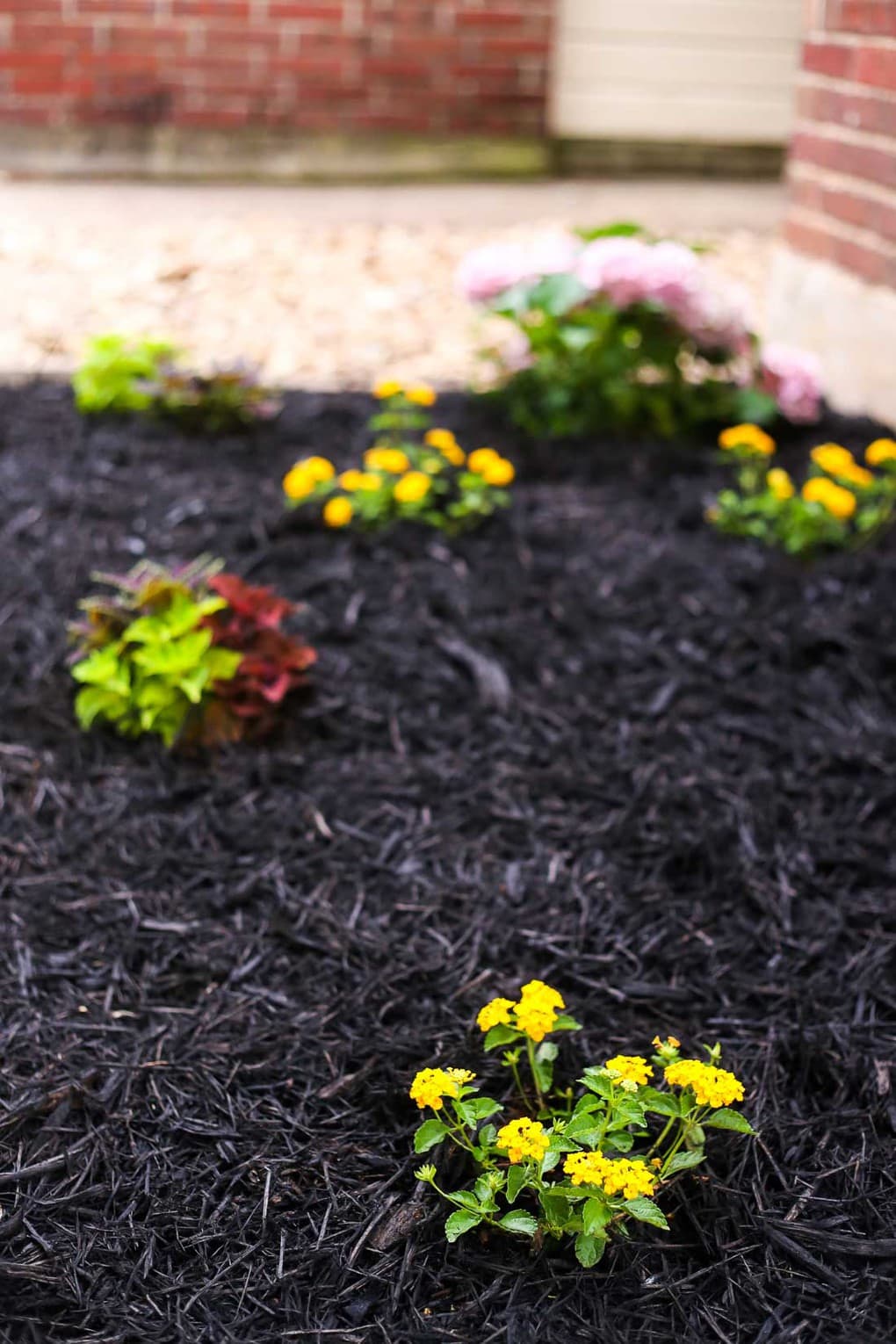 Front Yard Landscaping Ideas: Our Simple Flower Bed Makeover