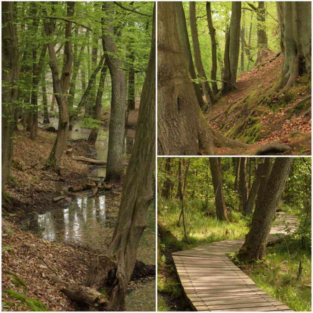 Wanderung in Berlin, Briesetal