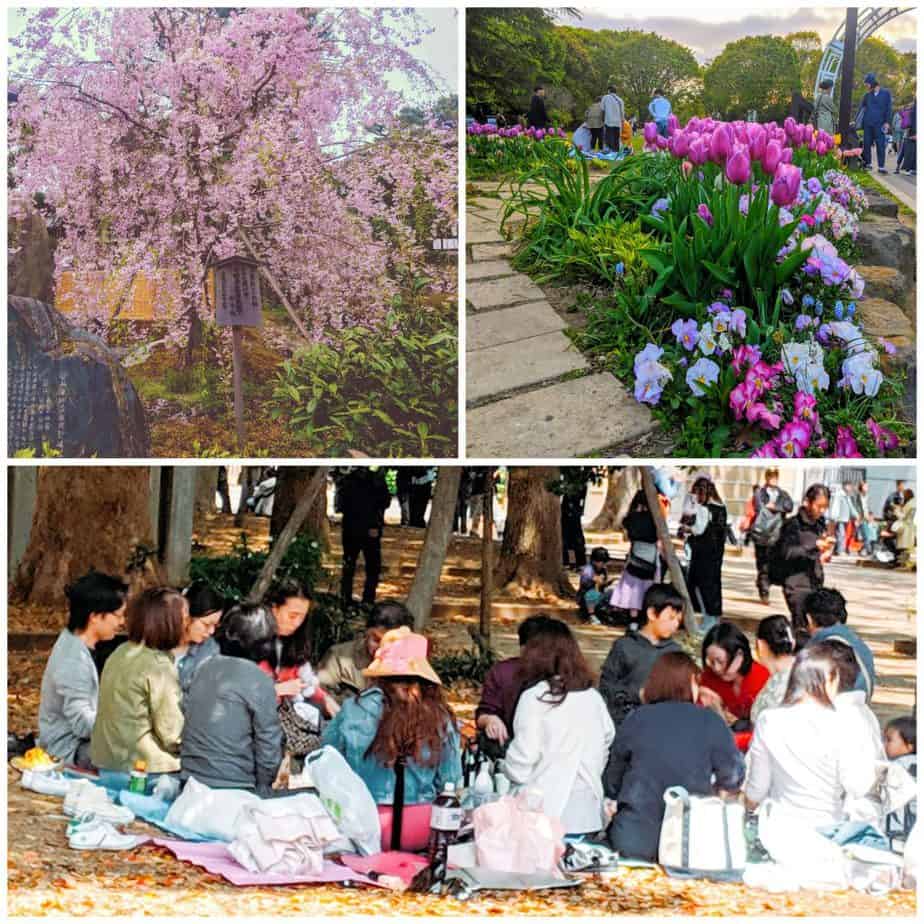 Best things to do in Tokyo