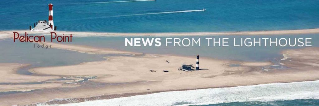 pelican point lodge walvis bay namibia
