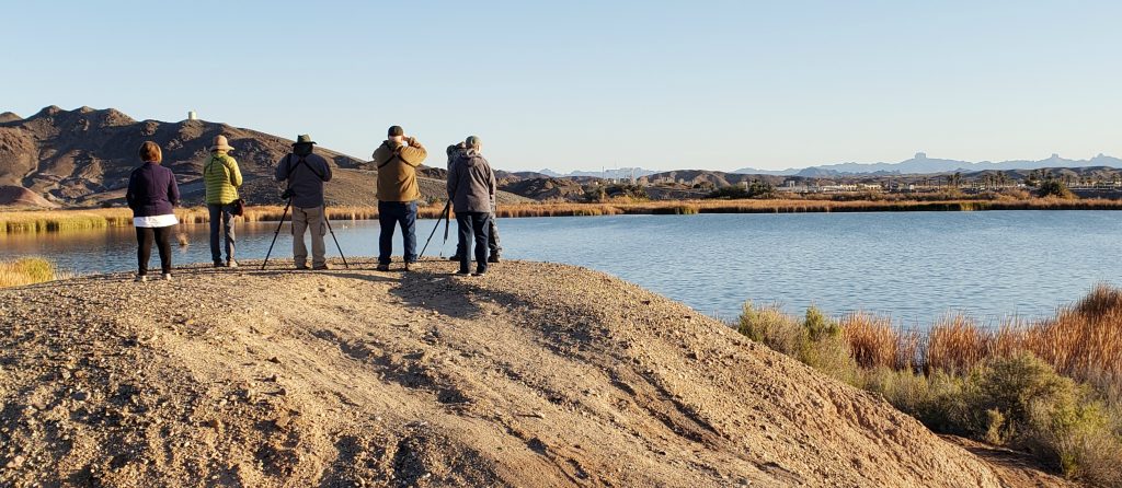 Birders stand on top of a hill with back to camera looking at water below with binoculars and mounted scope.