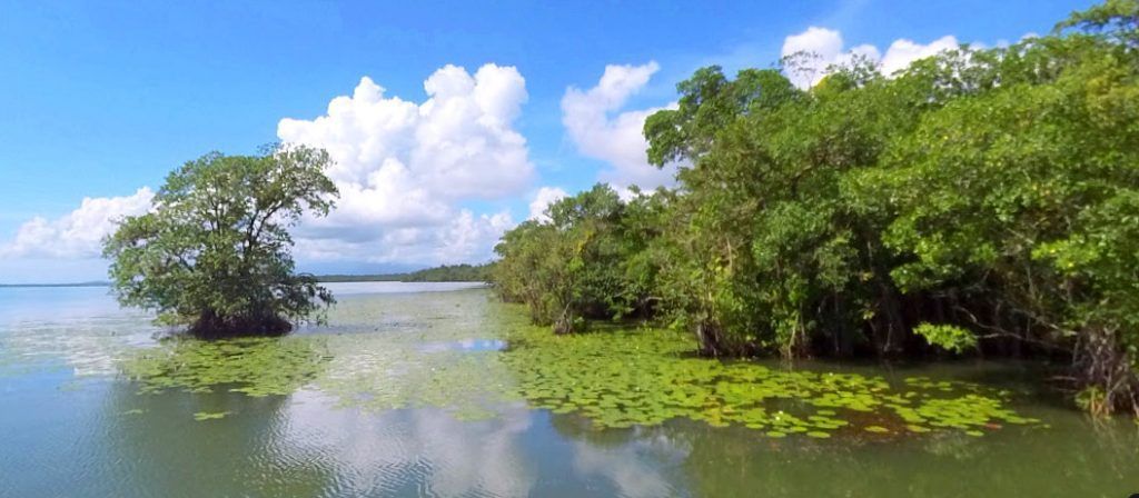 Aguas muy tranquilas y abundante pasto