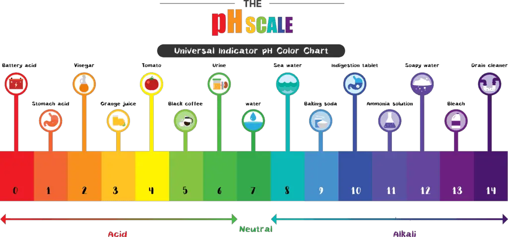 PH Scale