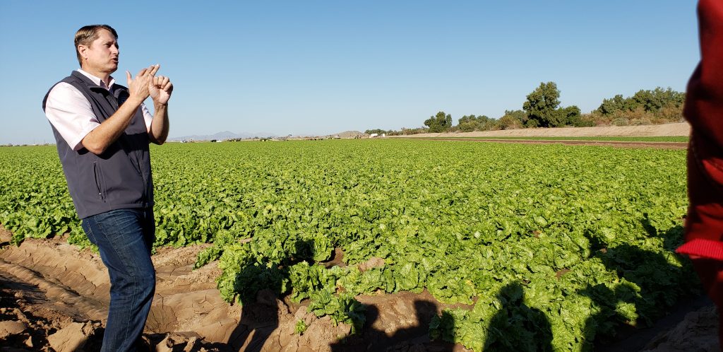 John Boelts stands with outstretched arm pointing to rows iceberg lettuce that are shadowed by silhouettes of Field to Farm tour participants