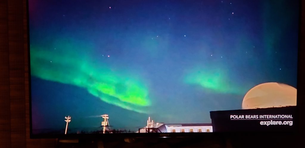 How to Take a Virtual Vacation? Hears the sounds by tuning into a webcam shown here with northern lights