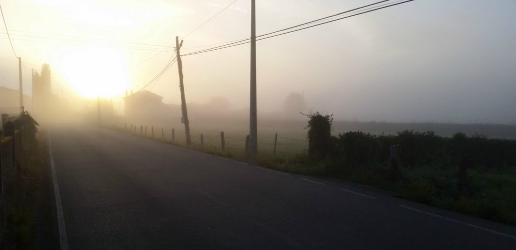 The sun comes up through fog and while yo can see the telephone wires silhouetted in the sunrise, I could barely make out the road along which the Camino primitivo follows