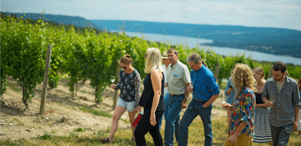 group of young people, some with wine glasses walk up steep hill covered in grape vines with Keuka Lake in background below at one of best Finger Lakes wineries