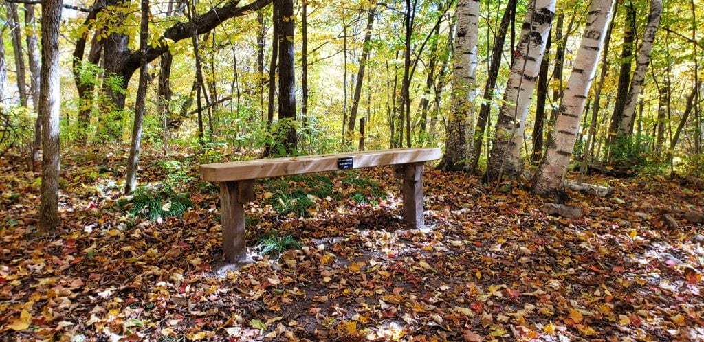 bench in the silent forest is a special place to contemplate God's creation on the WI pilgrimage