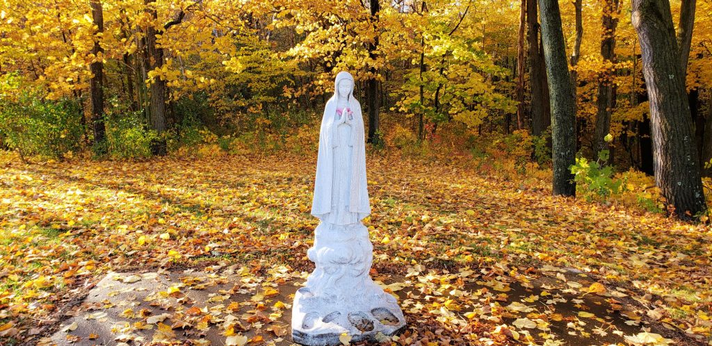 white statue of Mary stands in front of forest decked in fall colors: golds and yellows at Saint Matthias Catholic Church