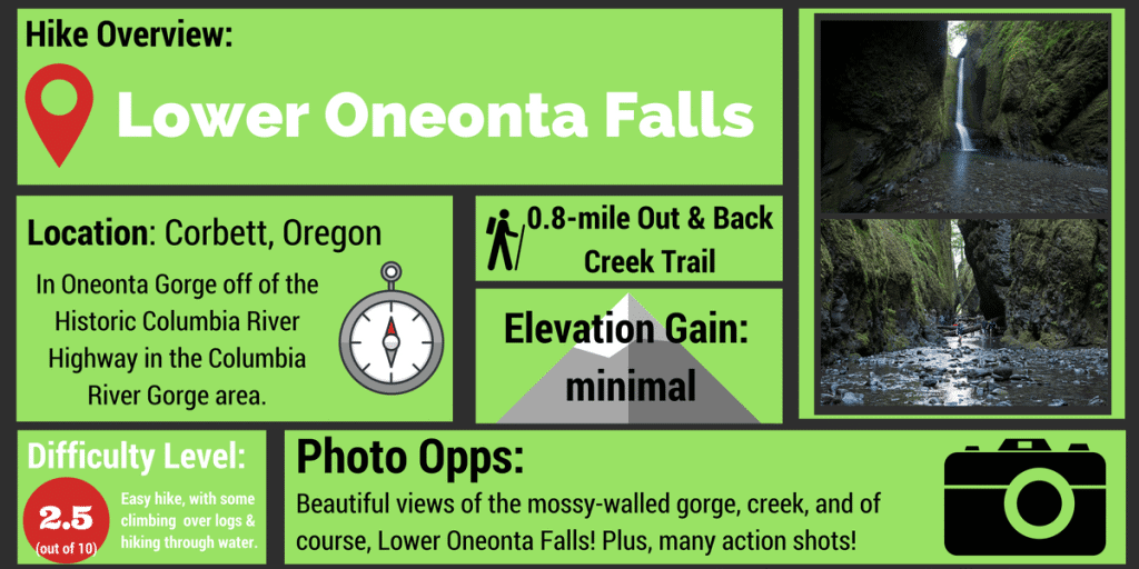 Lower Oneonta Falls Hike Infographic