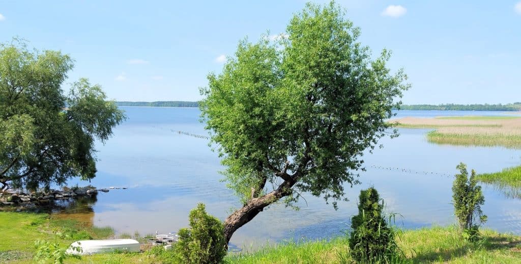 Jezioro Roś
