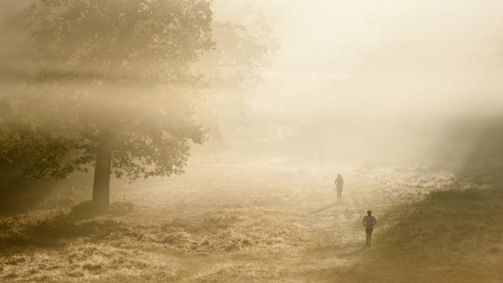 Joggers in Richmond Park London on a foggy day
