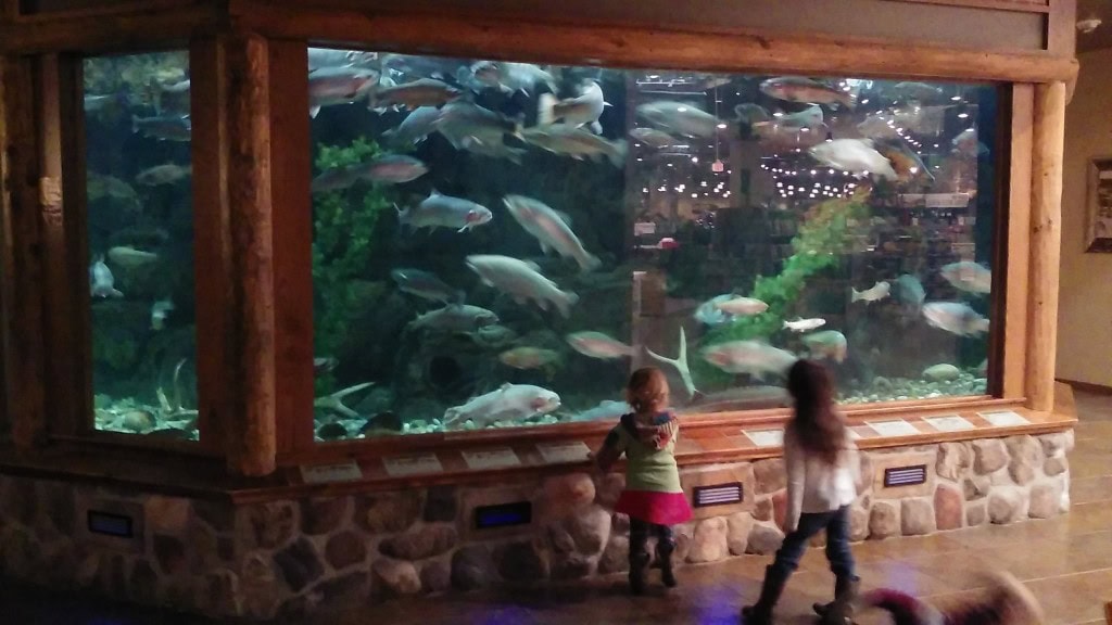 We had a down day so we decided to go to our makeshift idea of an indoor zoo... Cabelas. The kids loved the fish :)