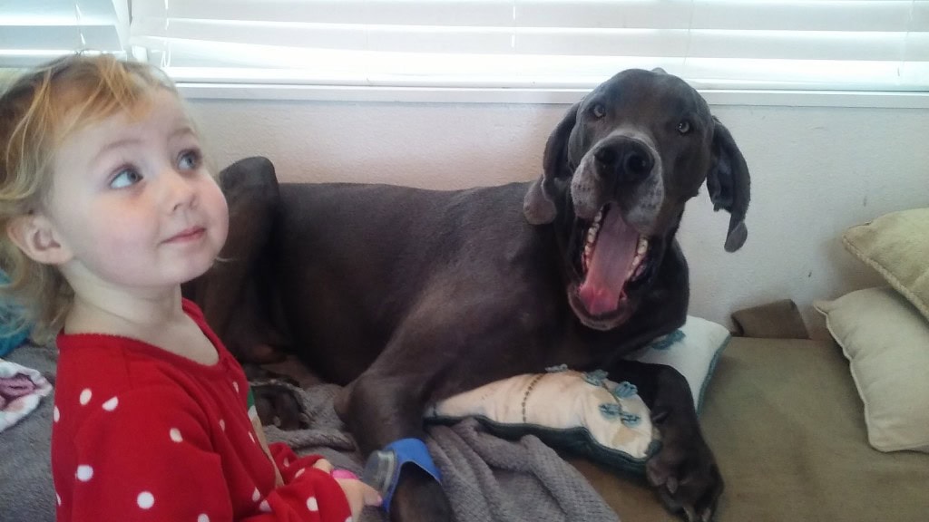 Playing doctor on the dog!